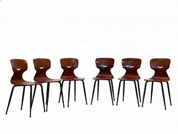 6 Pagholz chairs in curved plywood and metal, 1960s