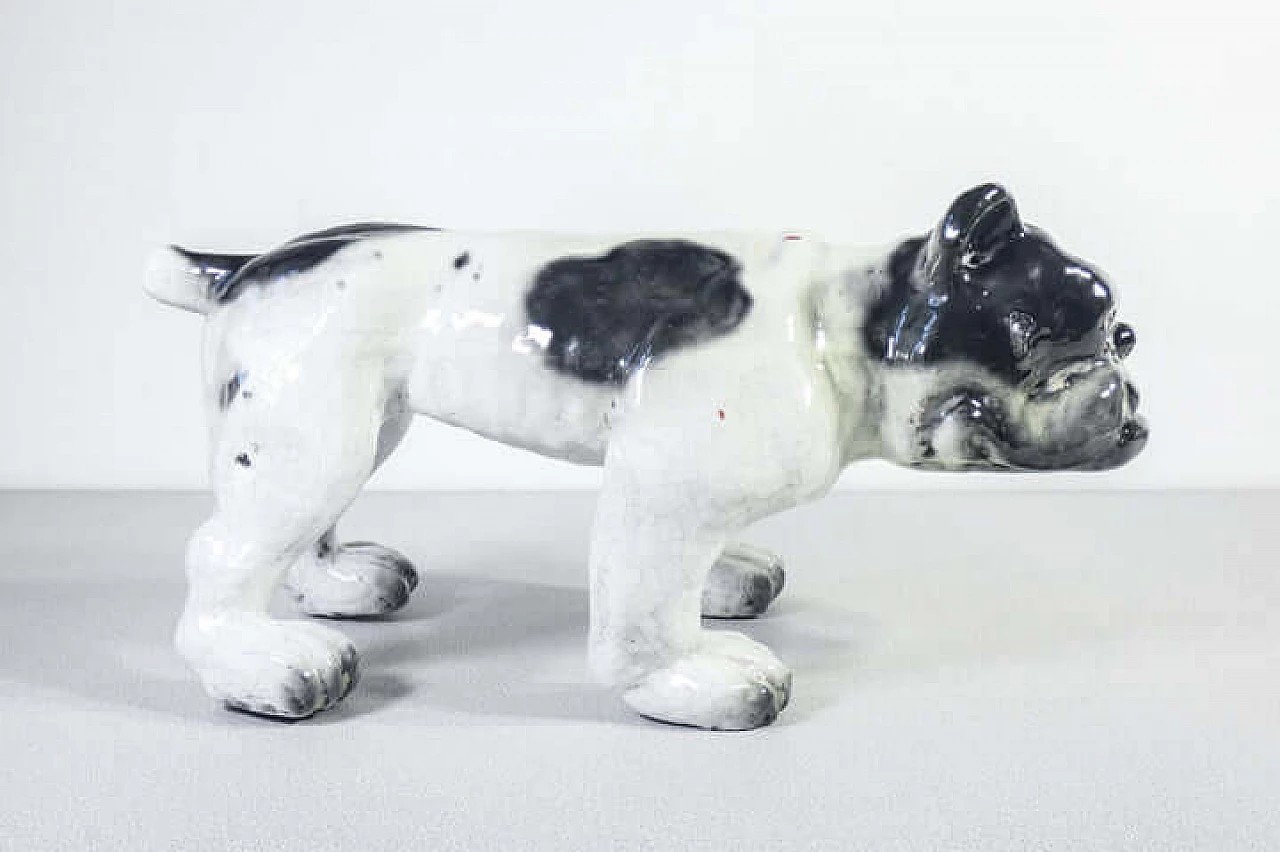Scultura di bulldog francese in terracotta invetriata, inizio '900 7