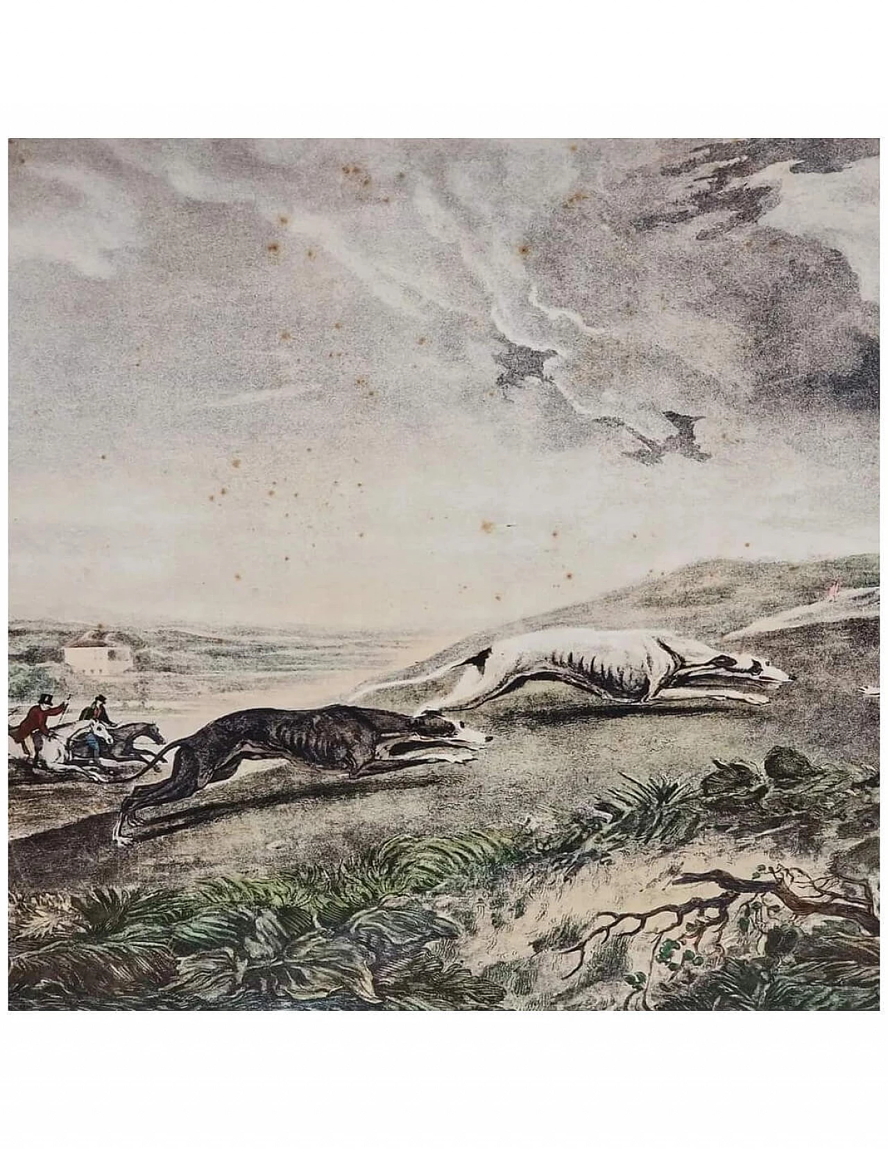 4 Litografie acquarellate con caccia alla lepre, fine '800 7