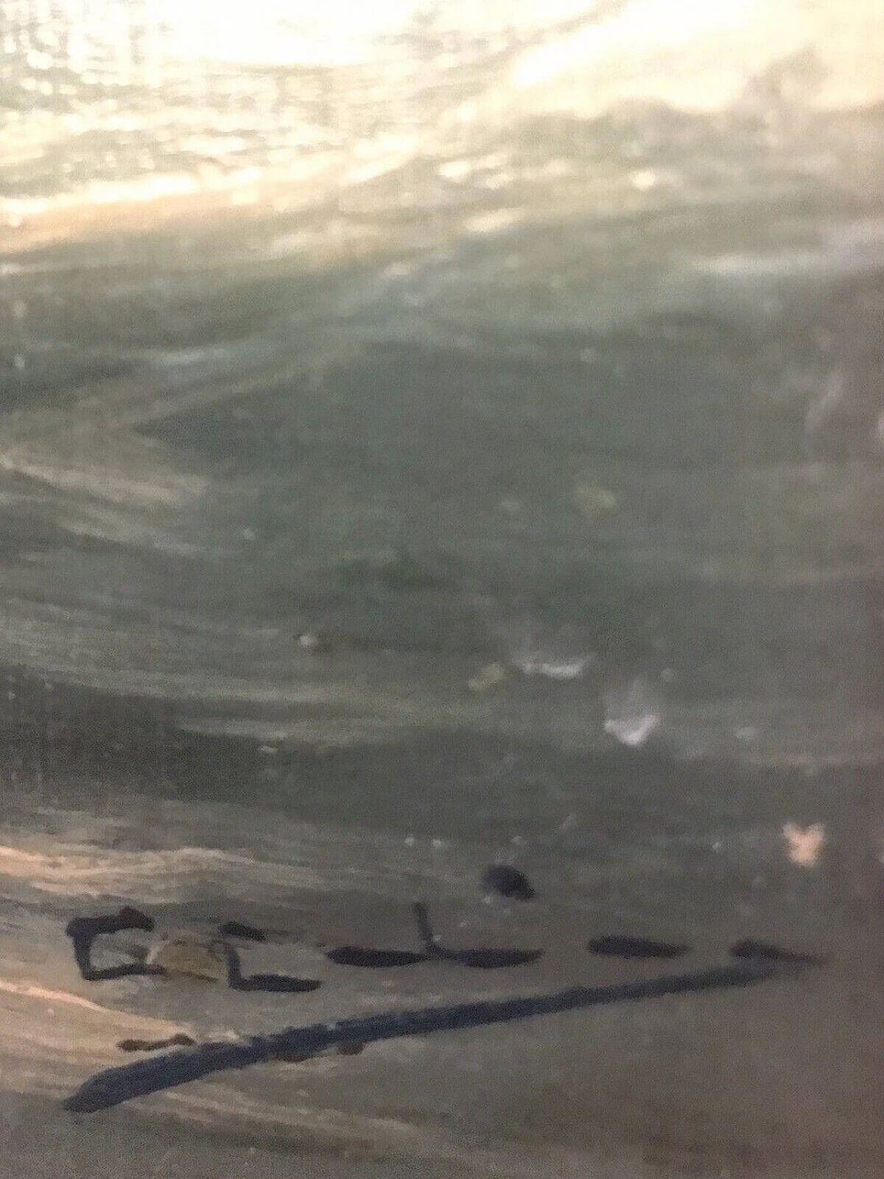 Paesaggio marino con navi, dipinto a olio su tavola, '800 8