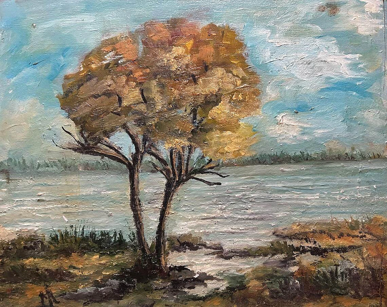 Paesaggio autunnale con fiume e albero, dipinto a olio su legno, anni '40 1