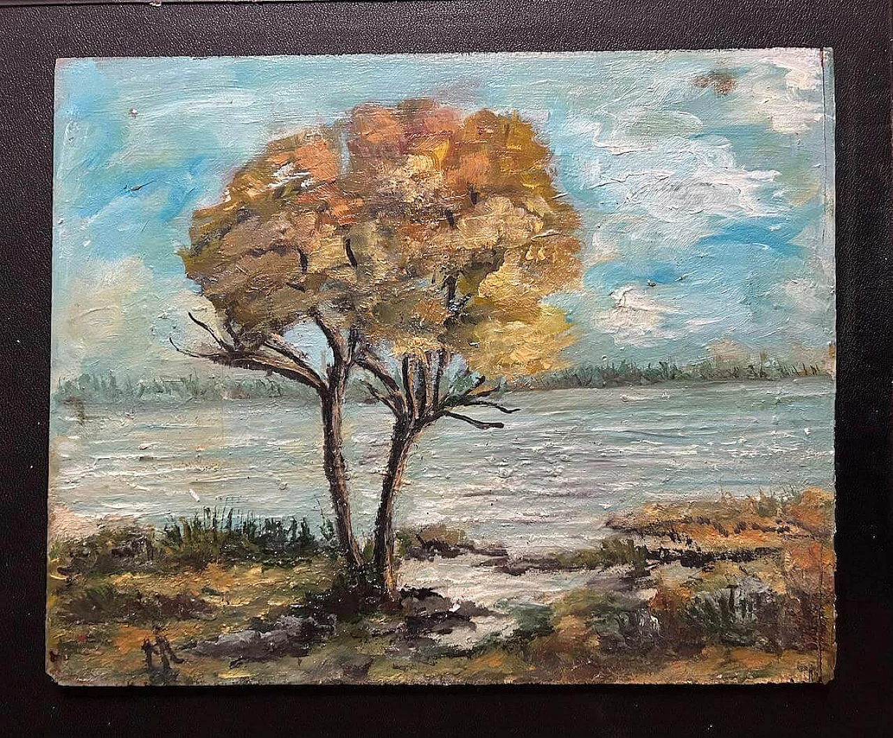 Paesaggio autunnale con fiume e albero, dipinto a olio su legno, anni '40 8