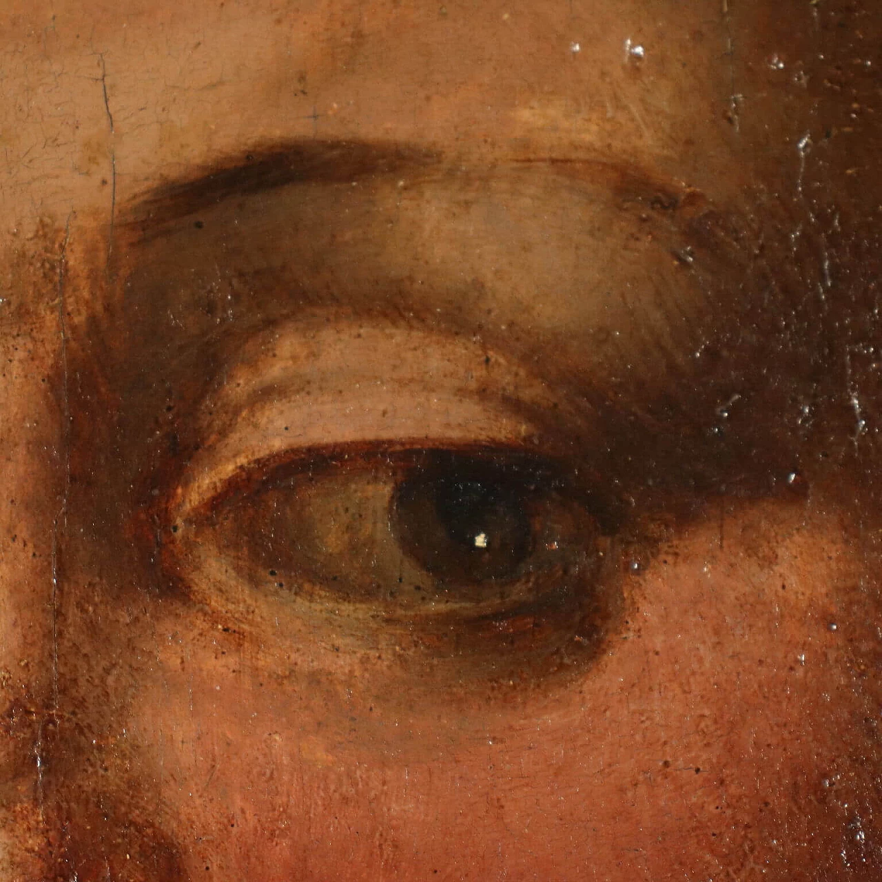 Testa femminile alla maniera di Andrea del Sarto, tempera su tavola, '500 5
