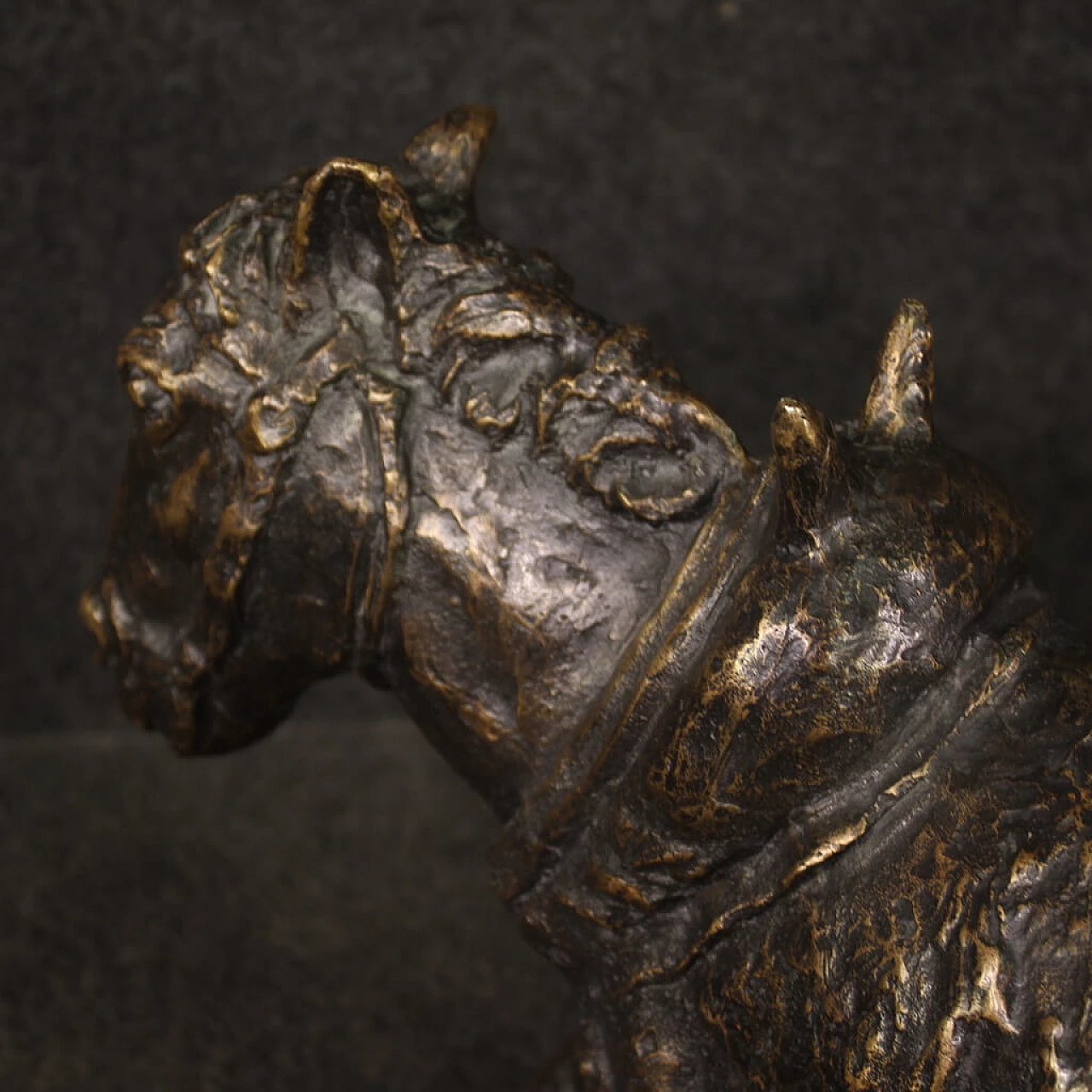 Asinello, scultura in bronzo patinato, anni '60 12