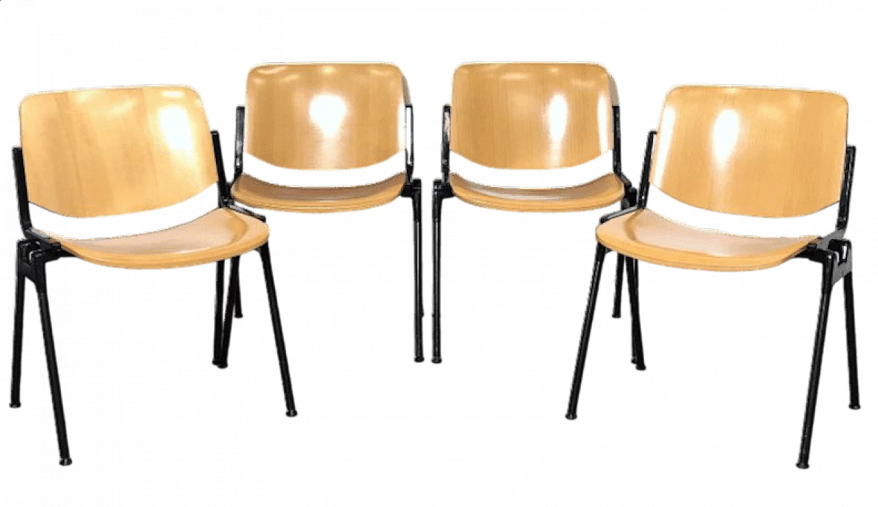 4 Chairs DSC 106 in bent beech and aluminium by Giancarlo Piretti for Anonima Castelli, 1965 18