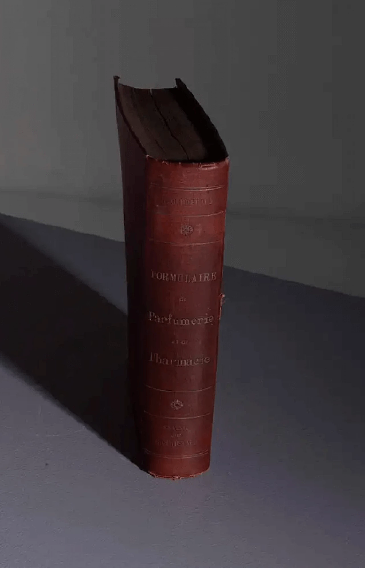 Perfumery and pharmacy book by René Cerbelaud, early 20th century 8