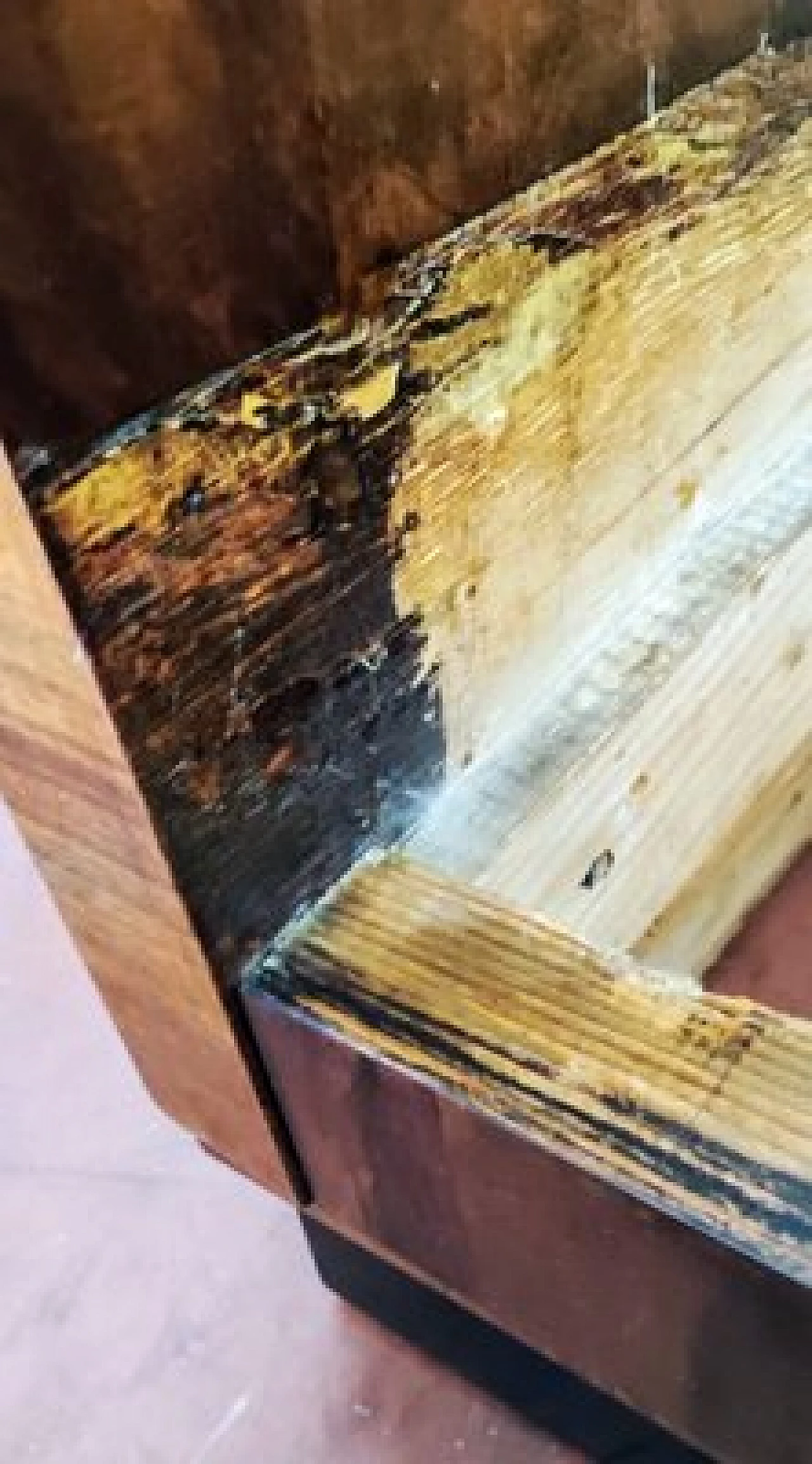 Pair of Art Deco wood and green fabric armchairs, 1920s 17