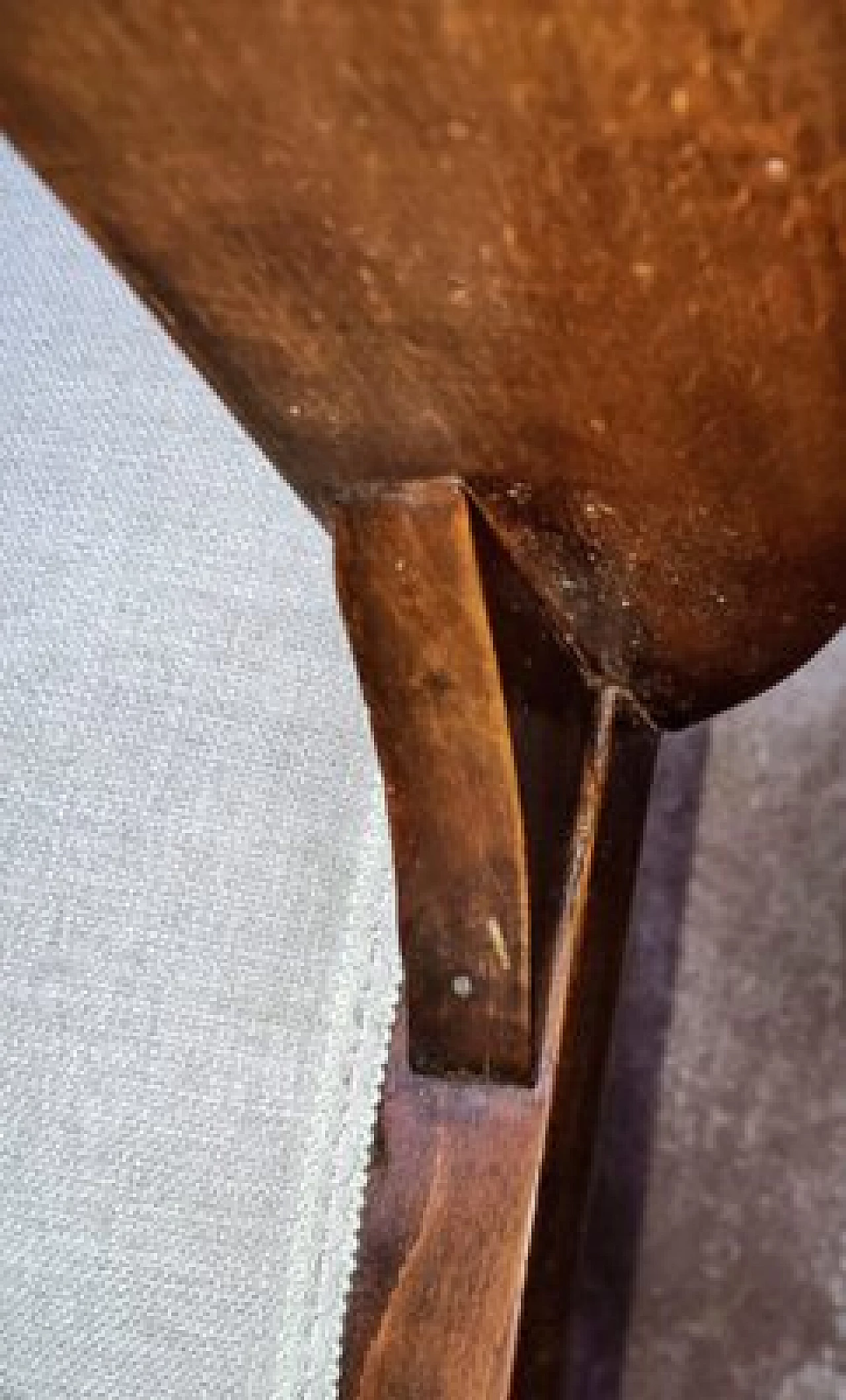 Coppia di poltrone Art Nouveau in faggio e tessuto bianco, fine '800 20