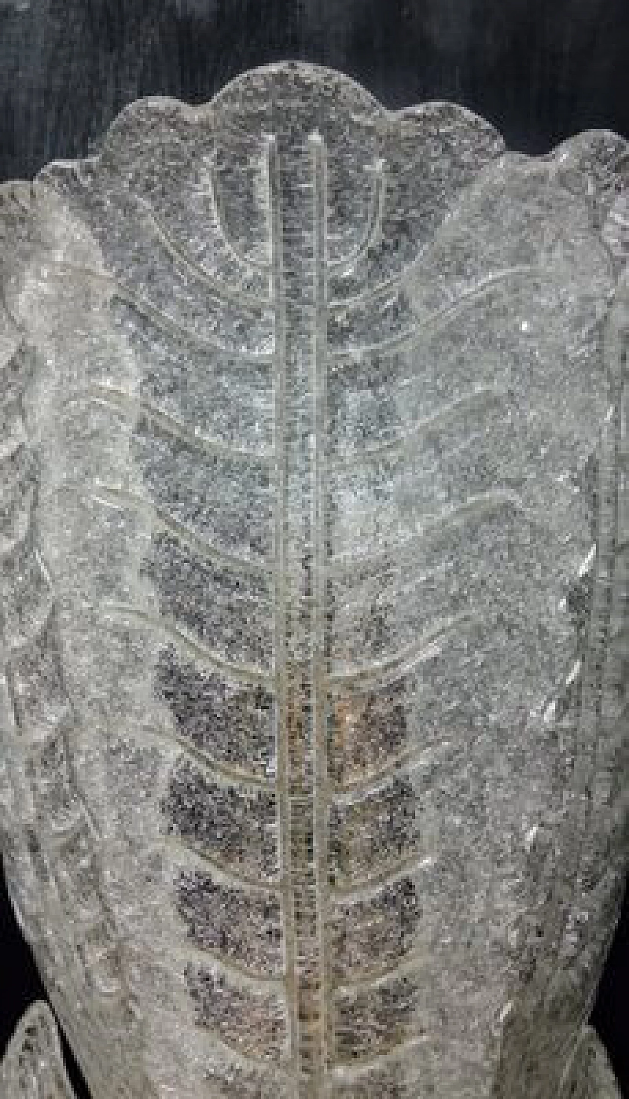 Coppia di lampade da parete in vetro di Murano, anni '80 5