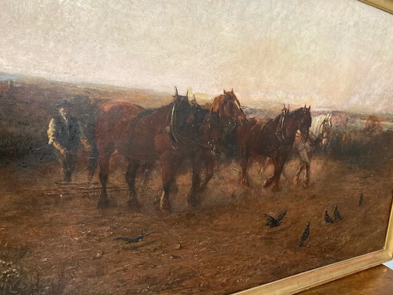 Loraine Nevison Arthur, Paesaggio con cavalli, olio su tela, 1893 5