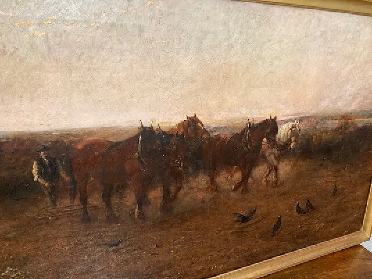 Loraine Nevison Arthur, Paesaggio con cavalli, olio su tela, 1893 7