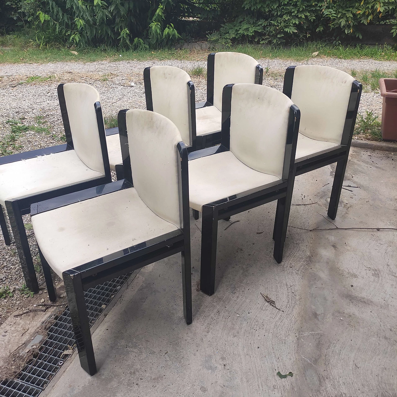 6 Sedie in legno laccato nero, anni '80 1