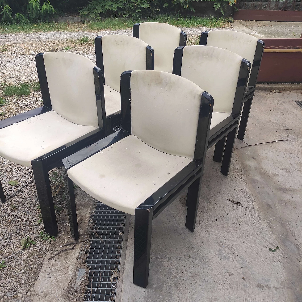 6 Sedie in legno laccato nero, anni '80 2