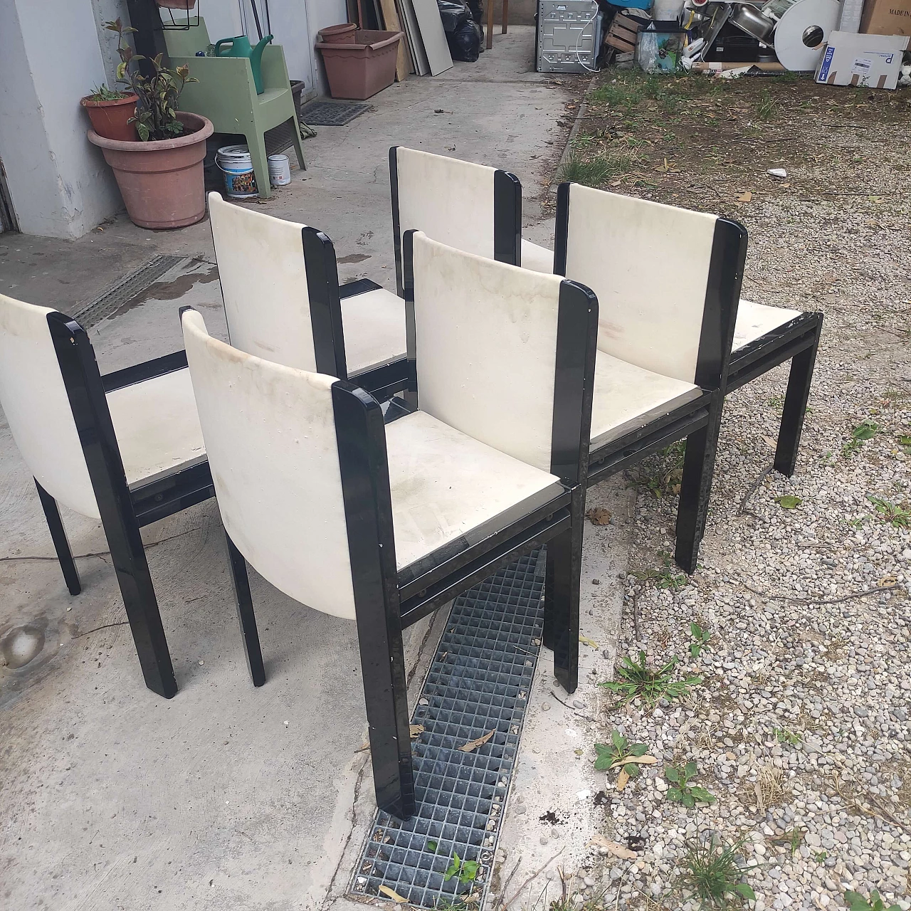 6 Sedie in legno laccato nero, anni '80 4