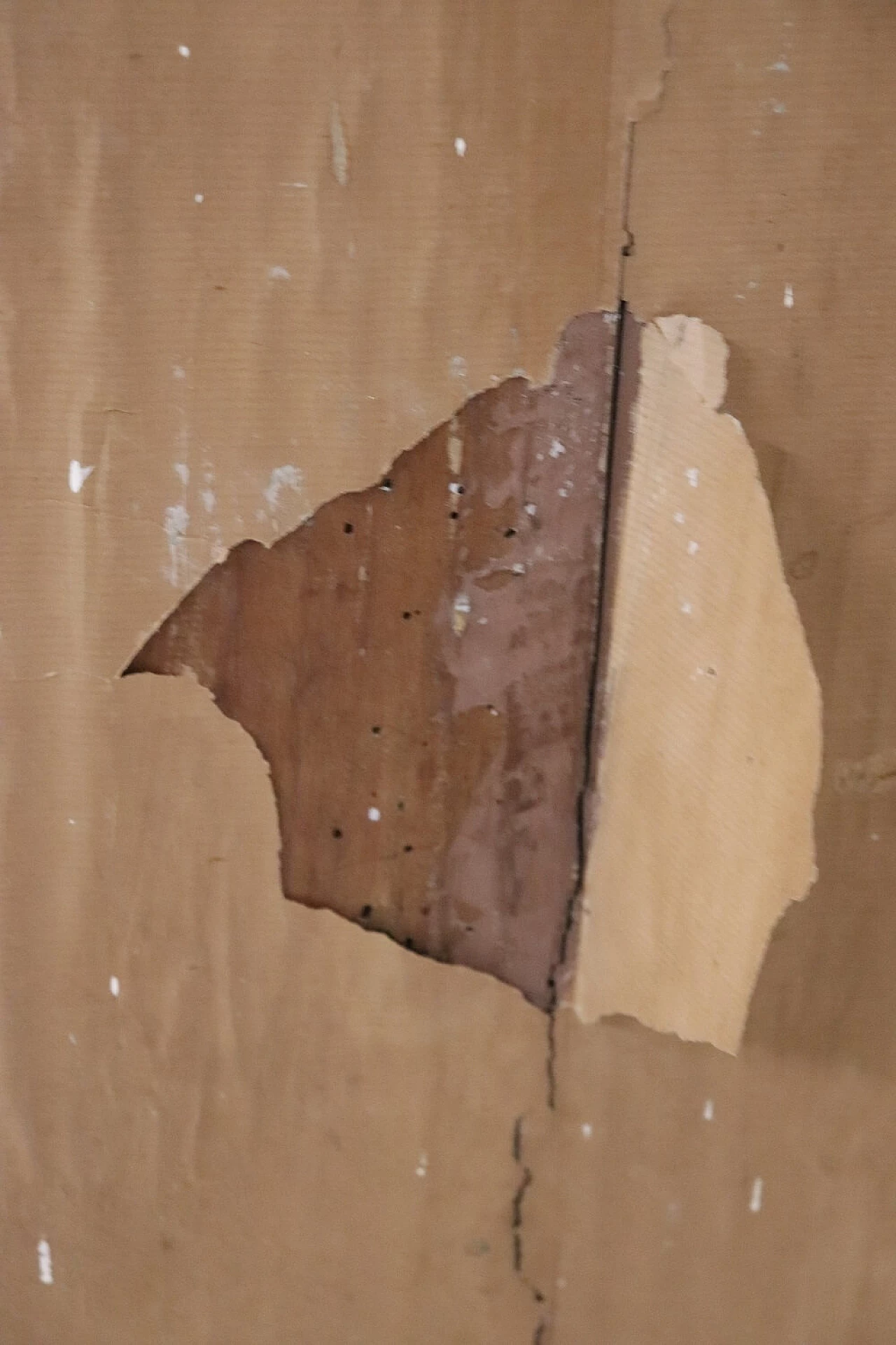 Solid walnut corner cabinet, late 19th century 7