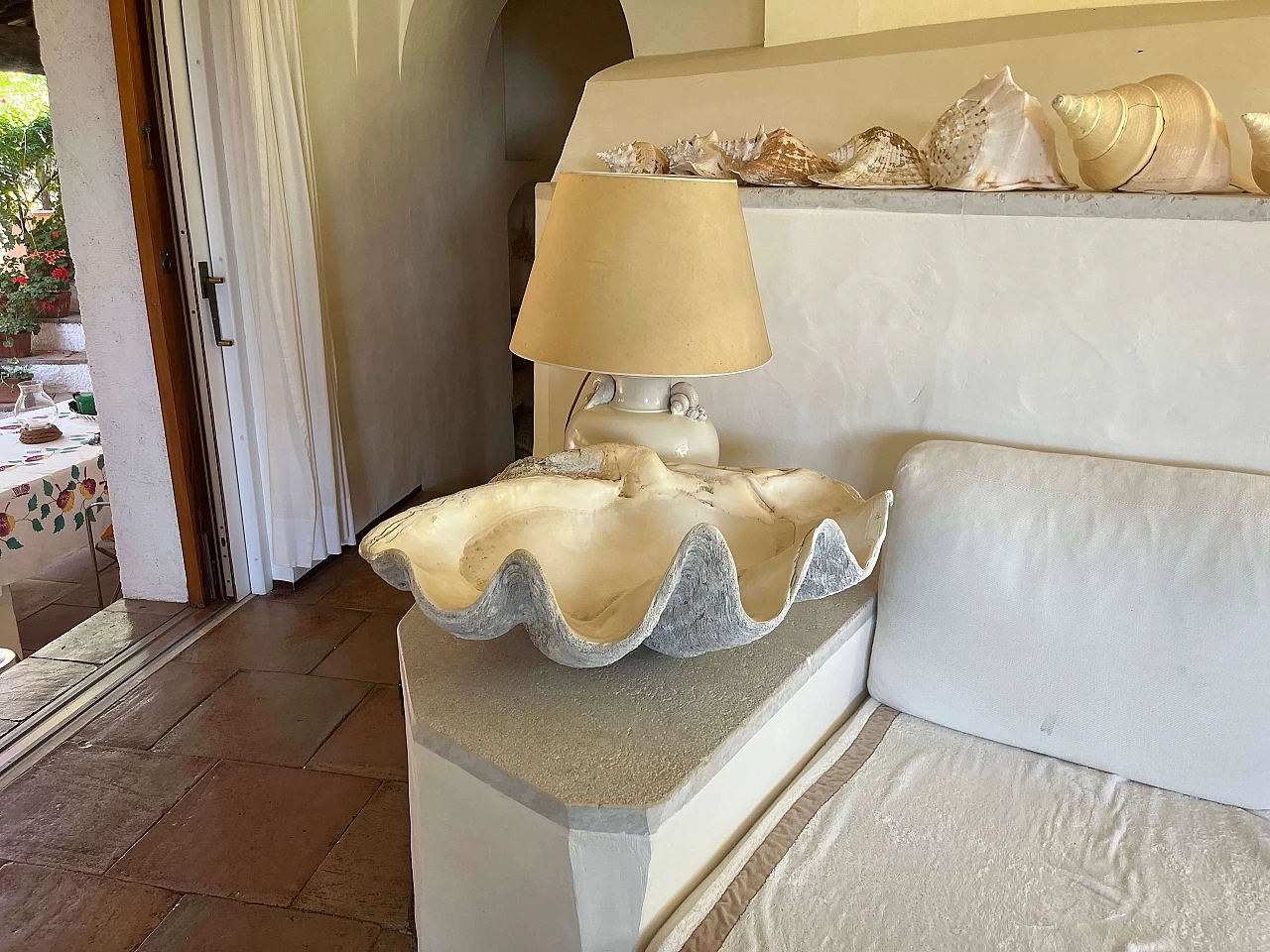 Tridacna gigante, '800 1