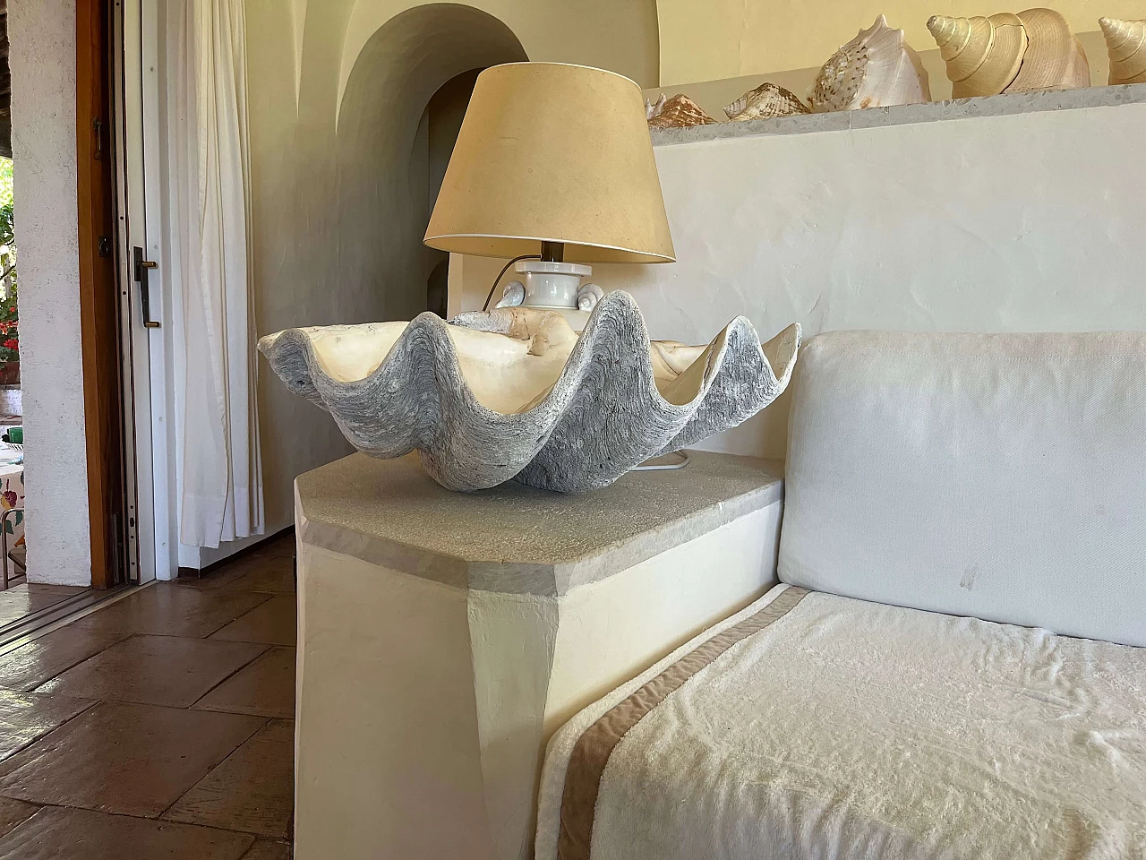 Tridacna gigante, '800 2