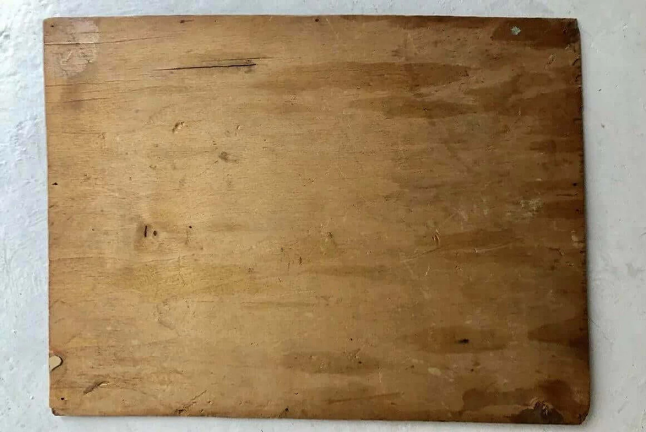 Rose, dipinto a olio su tavoletta, fine '800 2