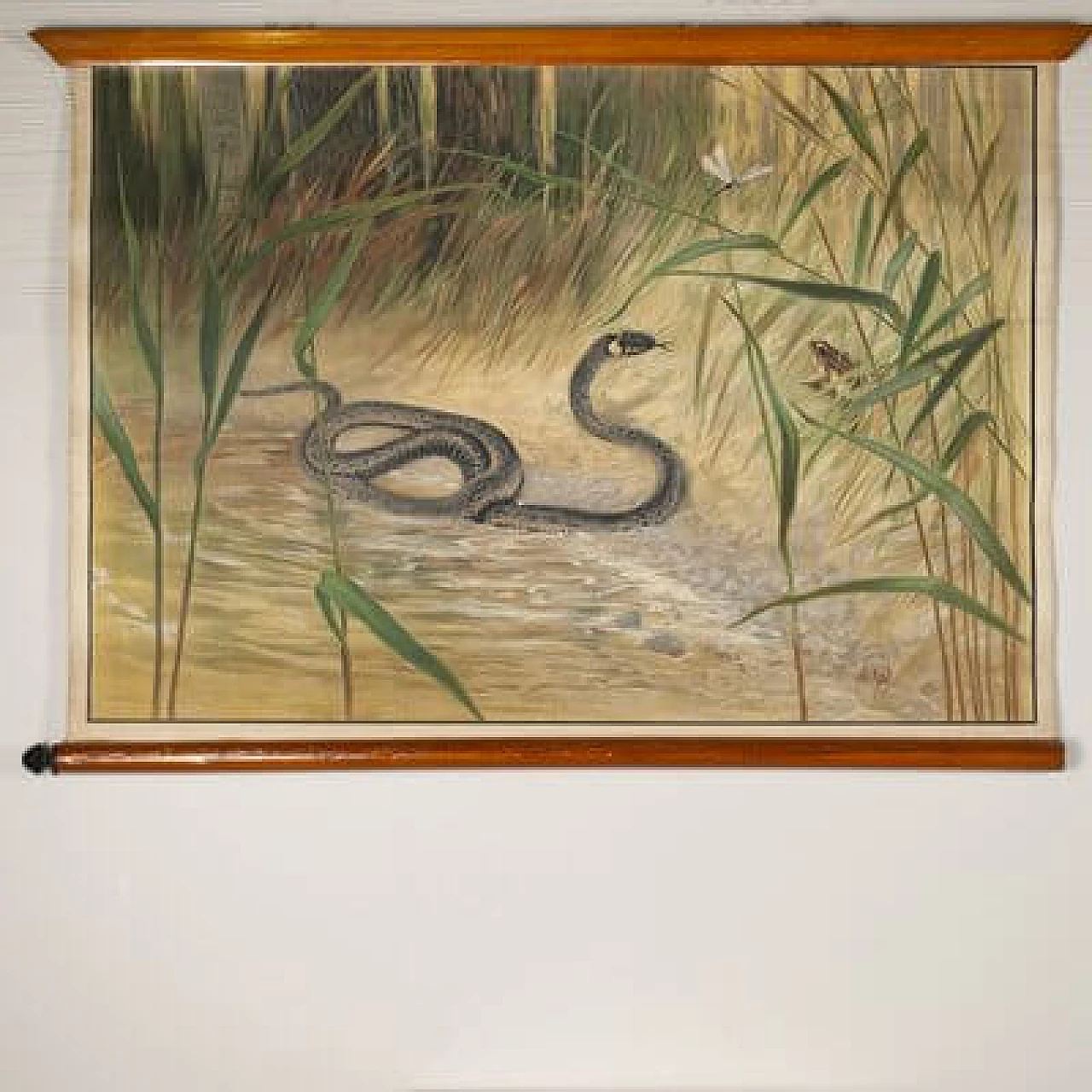 Serpente, stampa su tela di Antonio Vallardi Editore, anni '60 1