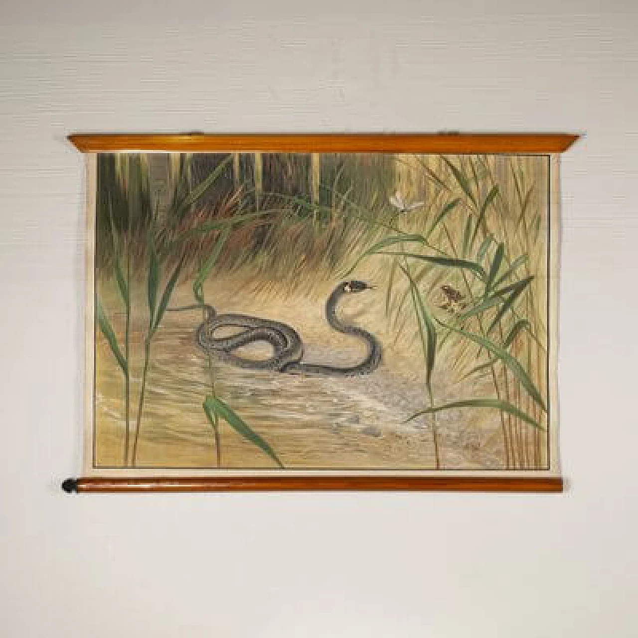 Snake, canvas print by Antonio Vallardi Editore, 1960s 3