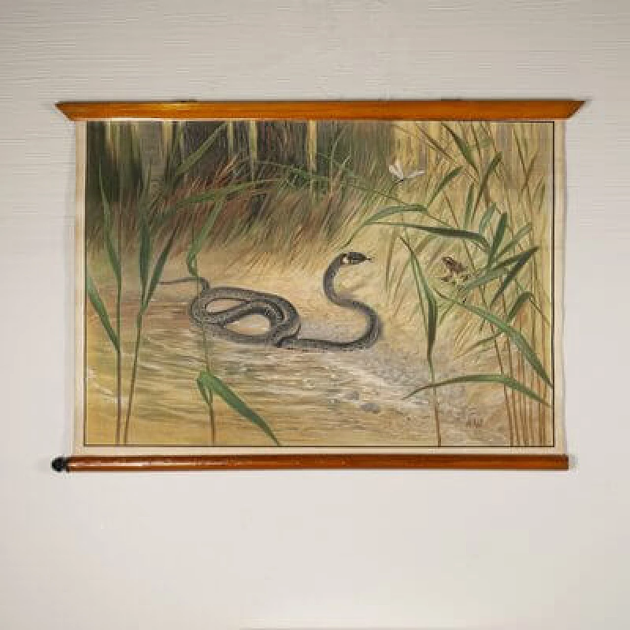 Serpente, stampa su tela di Antonio Vallardi Editore, anni '60 4