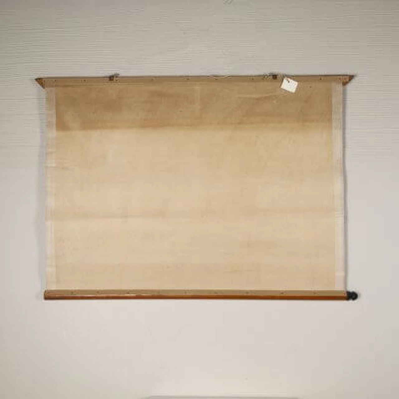 Snake, canvas print by Antonio Vallardi Editore, 1960s 5