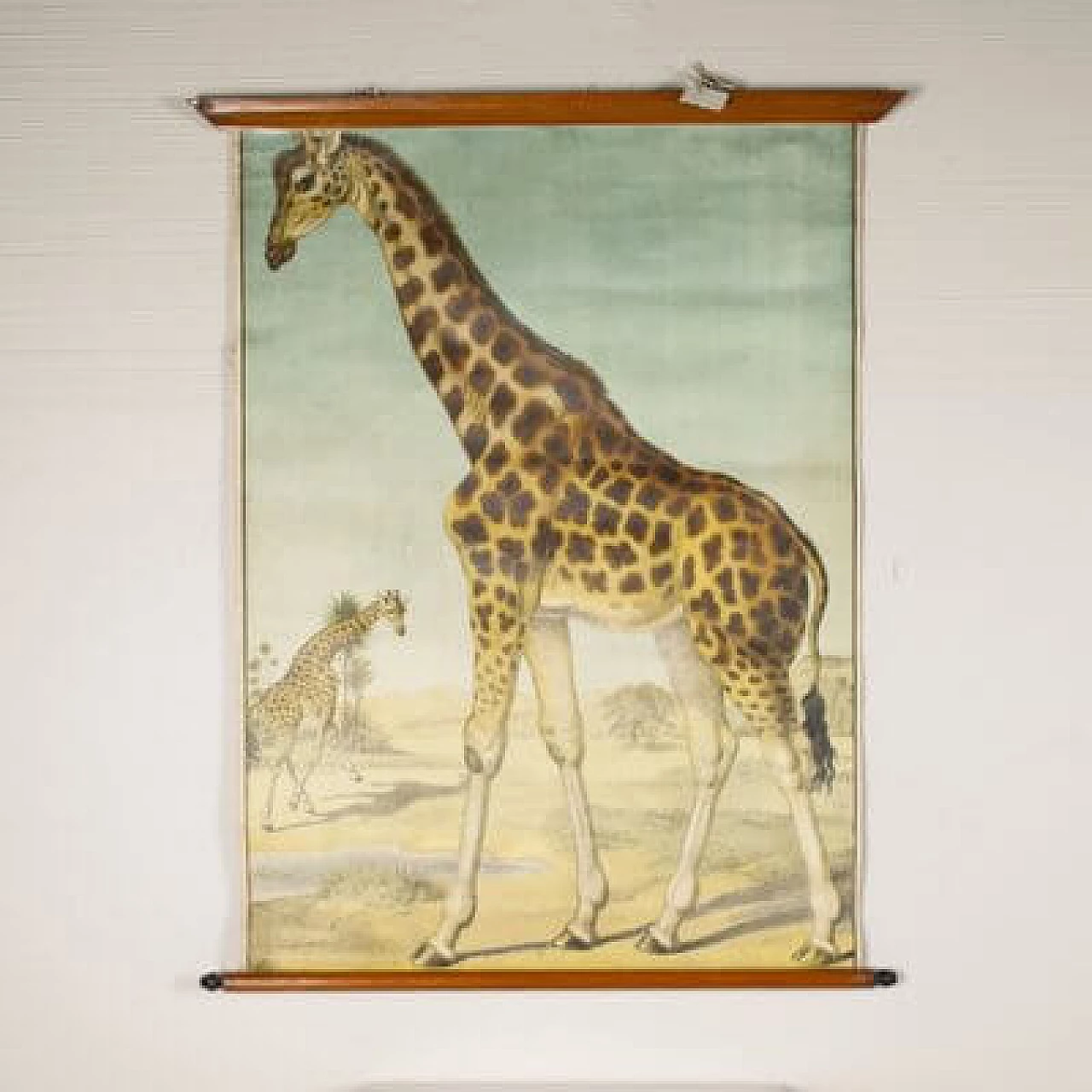 Giraffe, stampa su tela di Antonio Vallardi Editore, anni '60 1