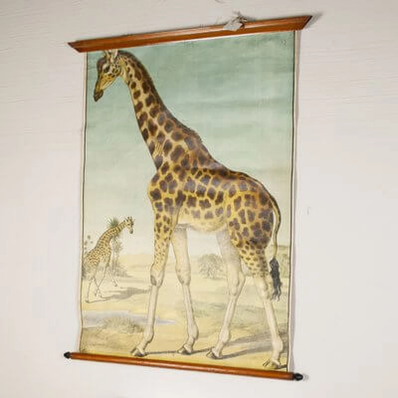 Giraffe, stampa su tela di Antonio Vallardi Editore, anni '60 2