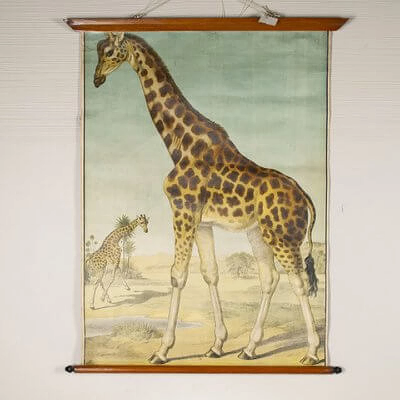 Giraffe, stampa su tela di Antonio Vallardi Editore, anni '60 3