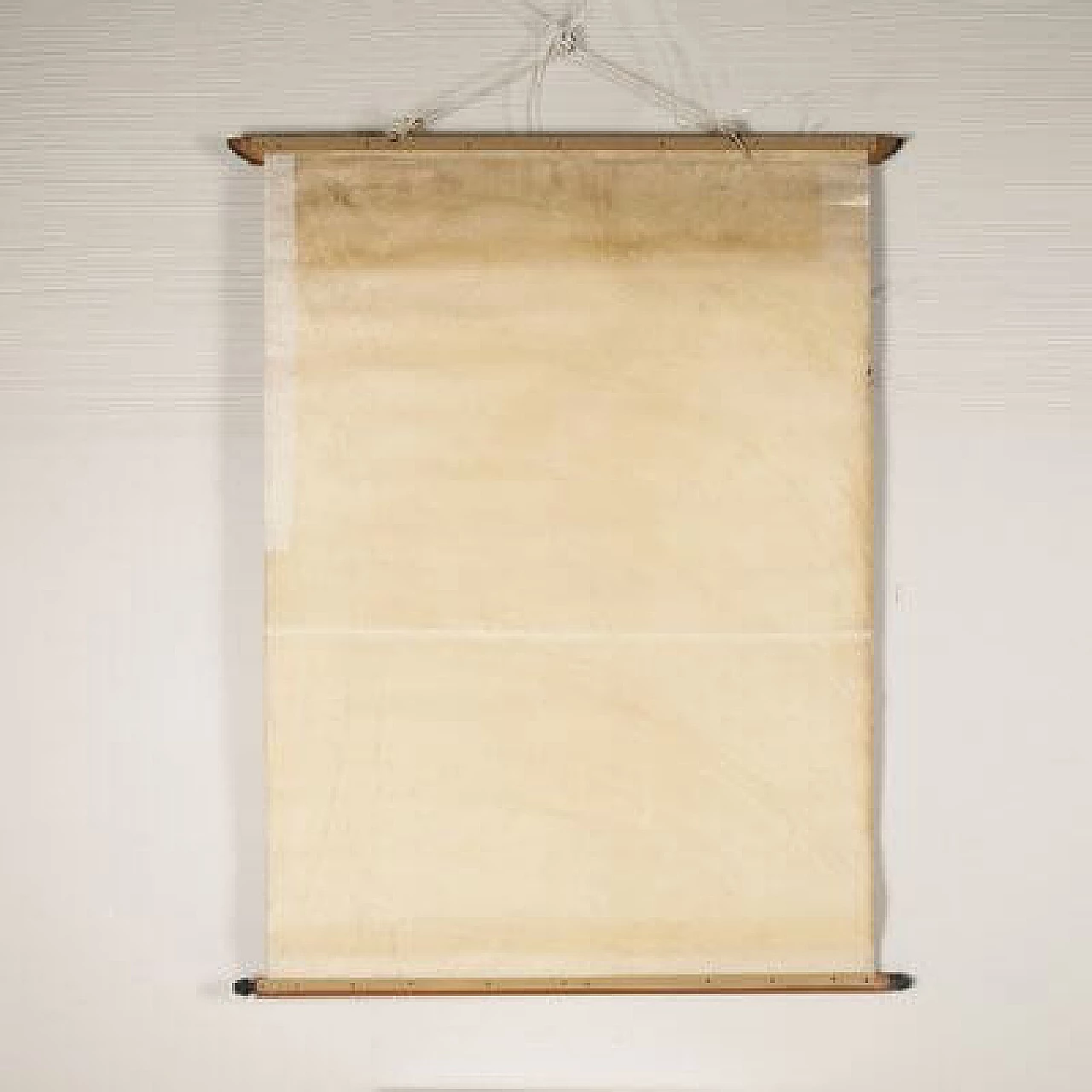 Giraffes, canvas print by Antonio Vallardi Editore, 1960s 4