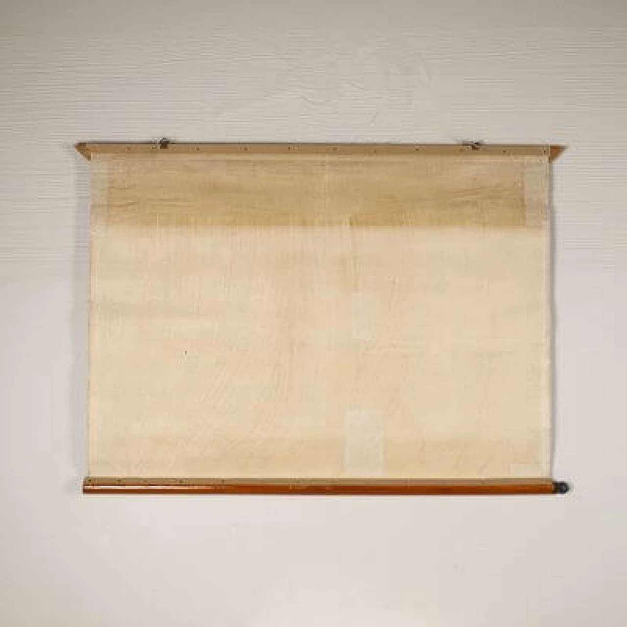 Gnus, canvas print by Antonio Vallardi Editore, 1960s 2