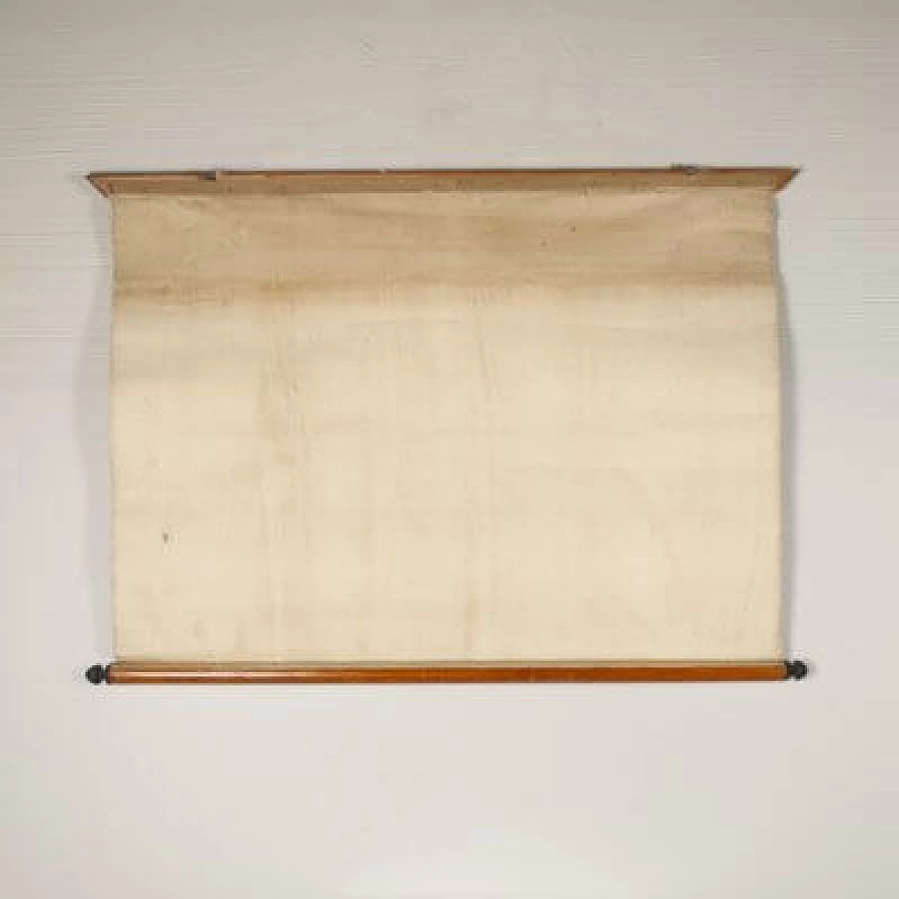 Rodents, canvas print by Antonio Vallardi Editore, 1960s 5