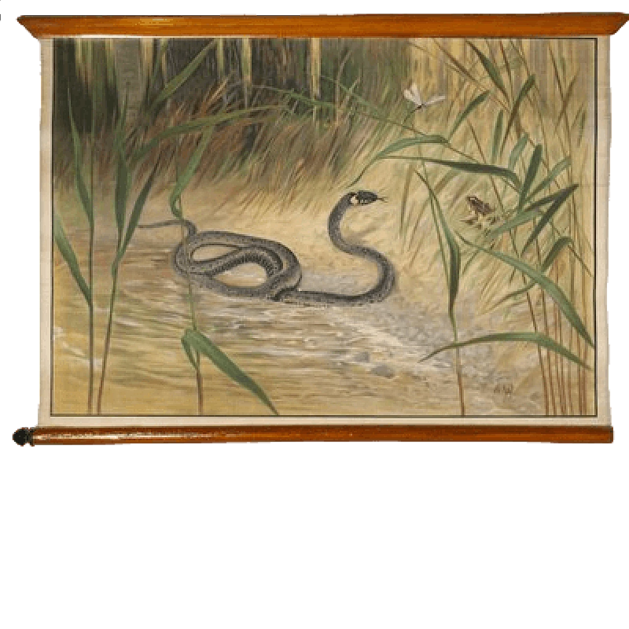 Serpente, stampa su tela di Antonio Vallardi Editore, anni '60 6