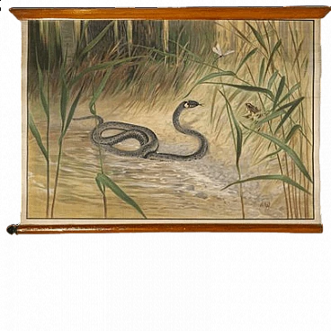 Serpente, stampa su tela di Antonio Vallardi Editore, anni '60
