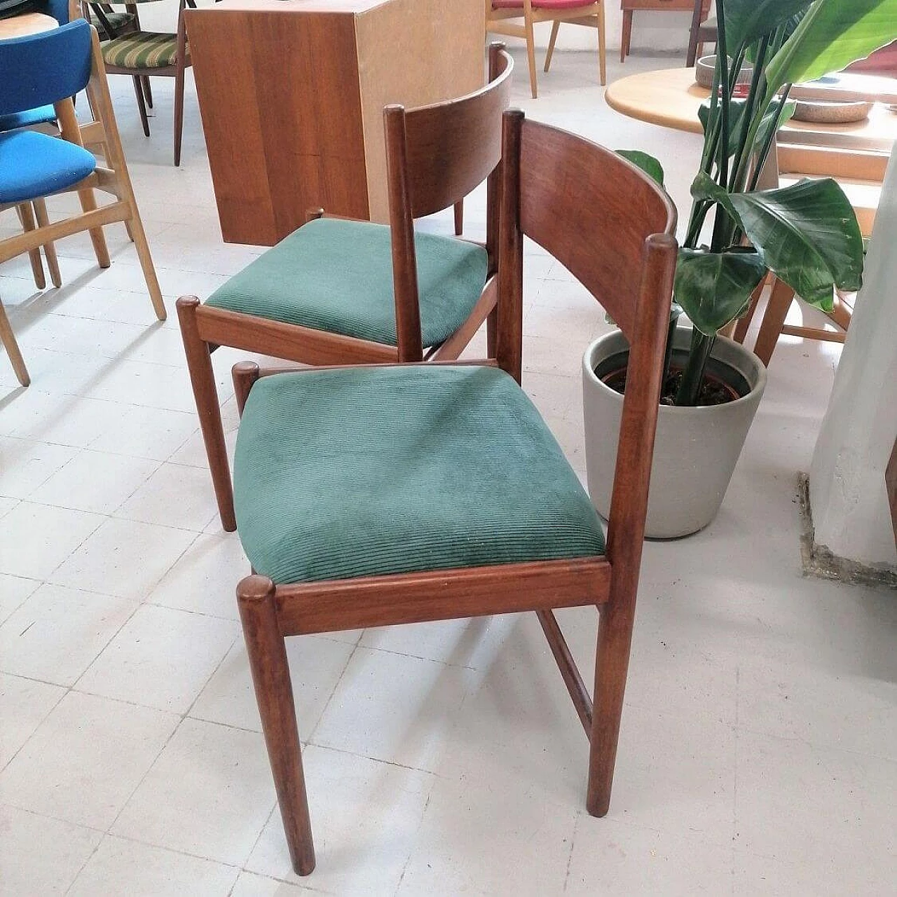 Pair of teak chairs for Sibas, 1950s 1