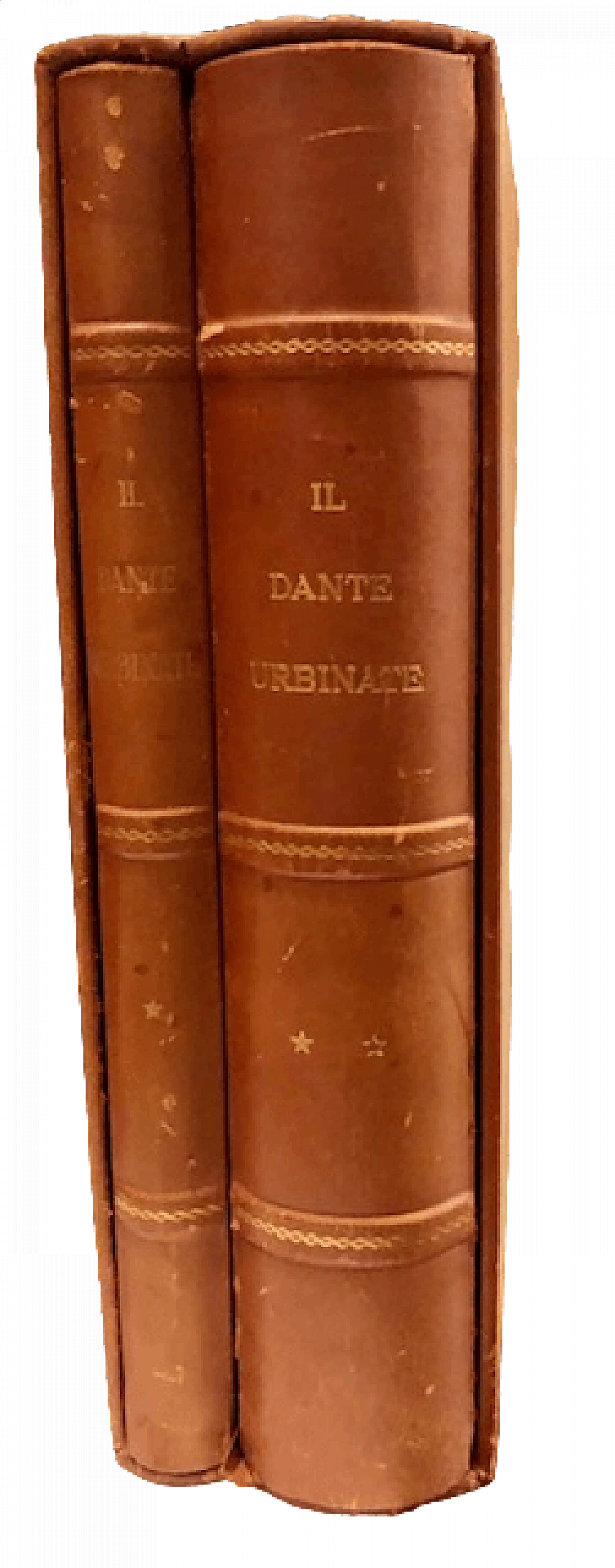 Reproduction of The Dante Urbinate from The Vatican Library 6