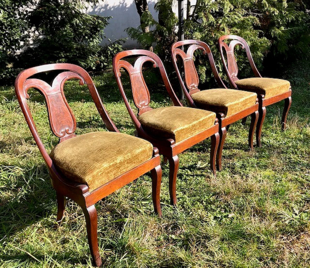 4 Wooden gondola chairs, early 19th century 2