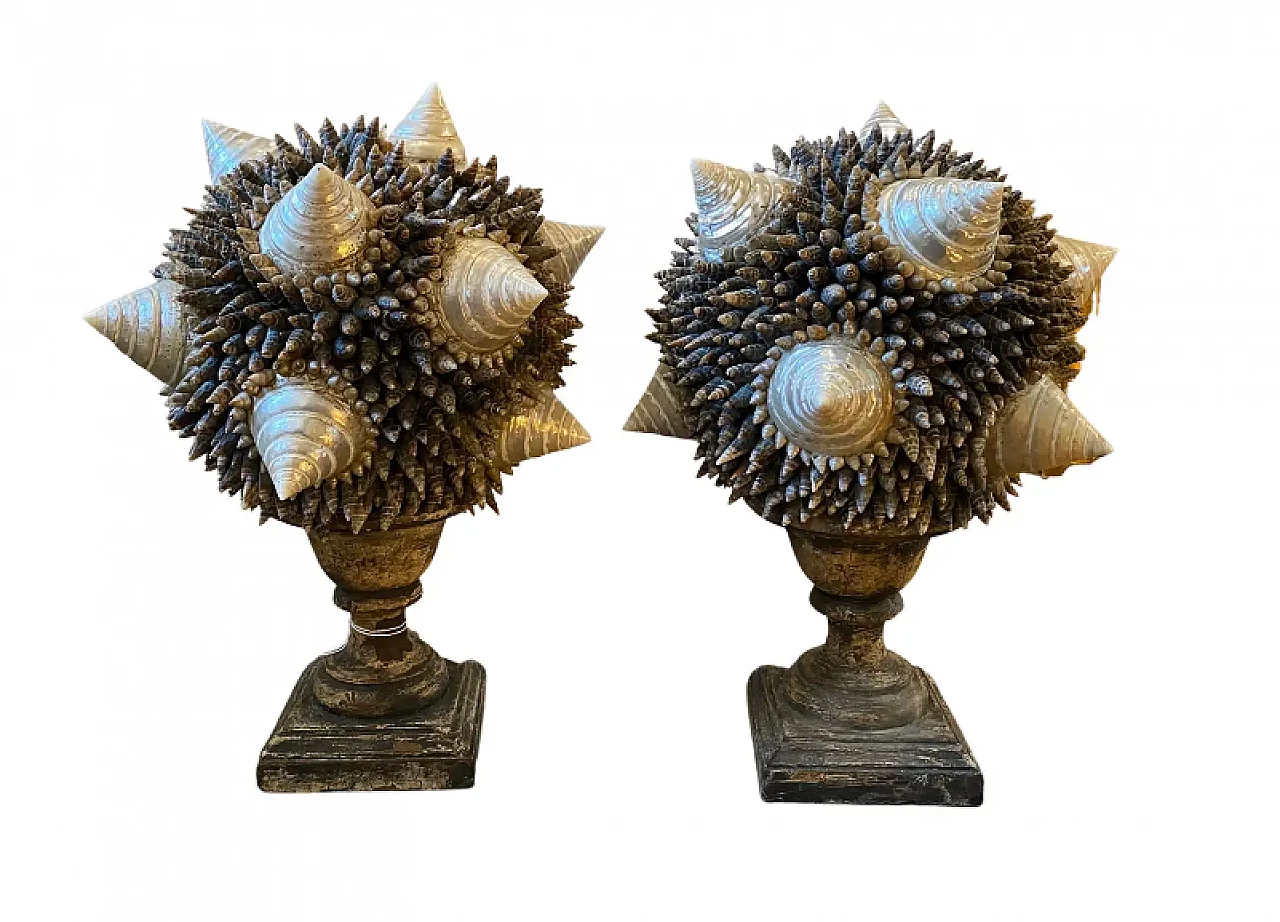 Coppia di composizioni di conchiglie su basi di legno laccato, anni '70 1