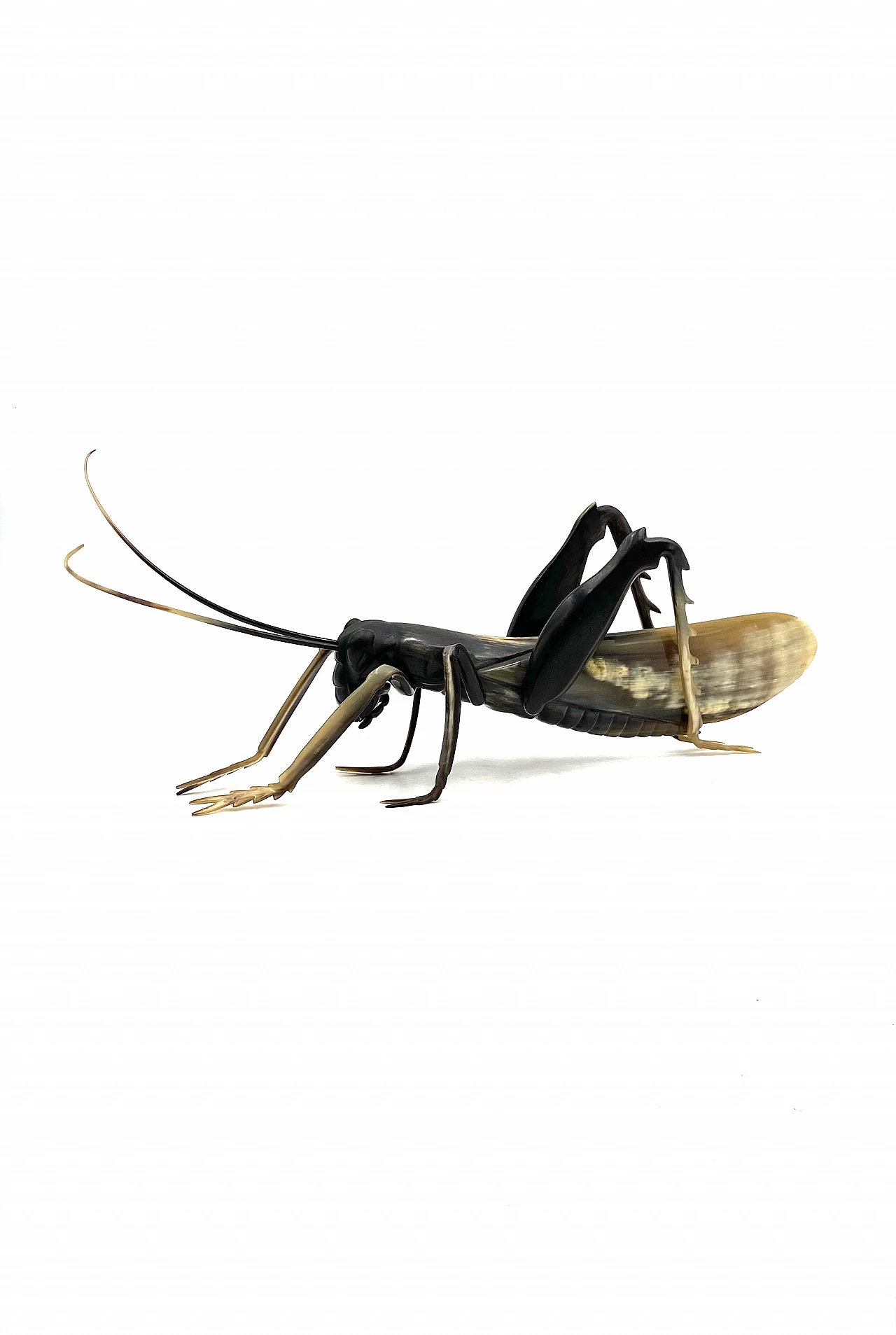 Horn grasshopper sculpture, 1960s 12