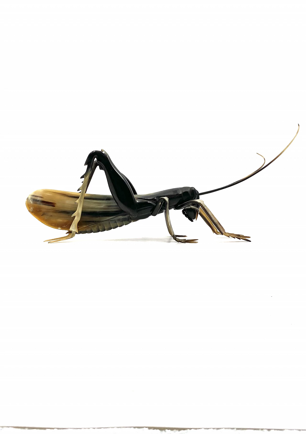 Horn grasshopper sculpture, 1960s 18
