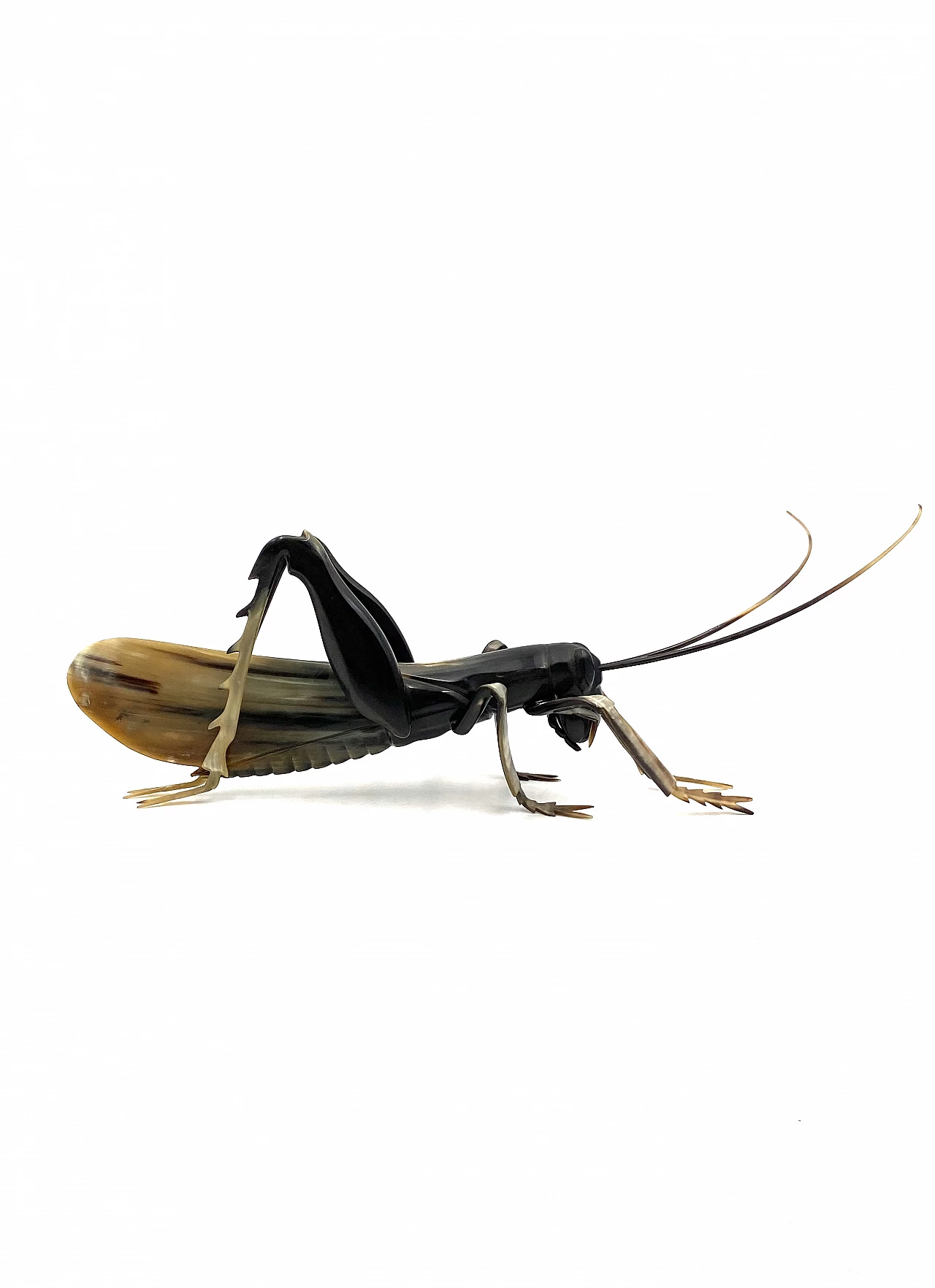 Horn grasshopper sculpture, 1960s 19