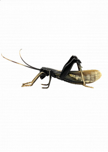 Horn grasshopper sculpture, 1960s