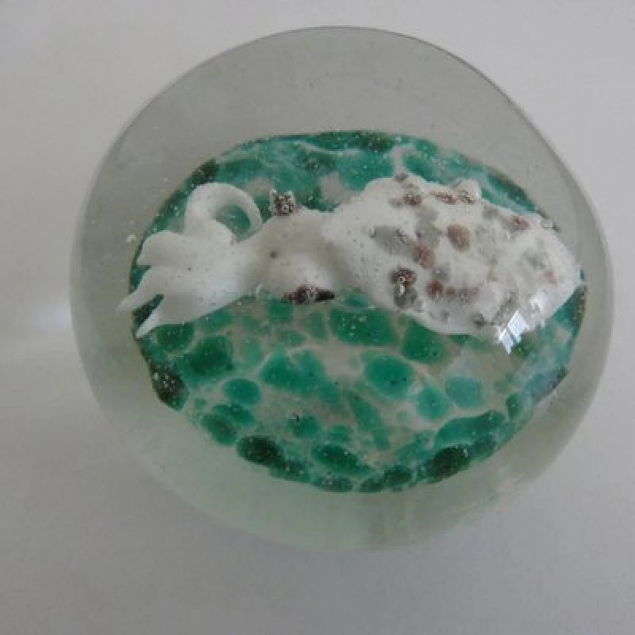 Fermacarte in vetro di Murano con calamaro bianco, anni '50 4