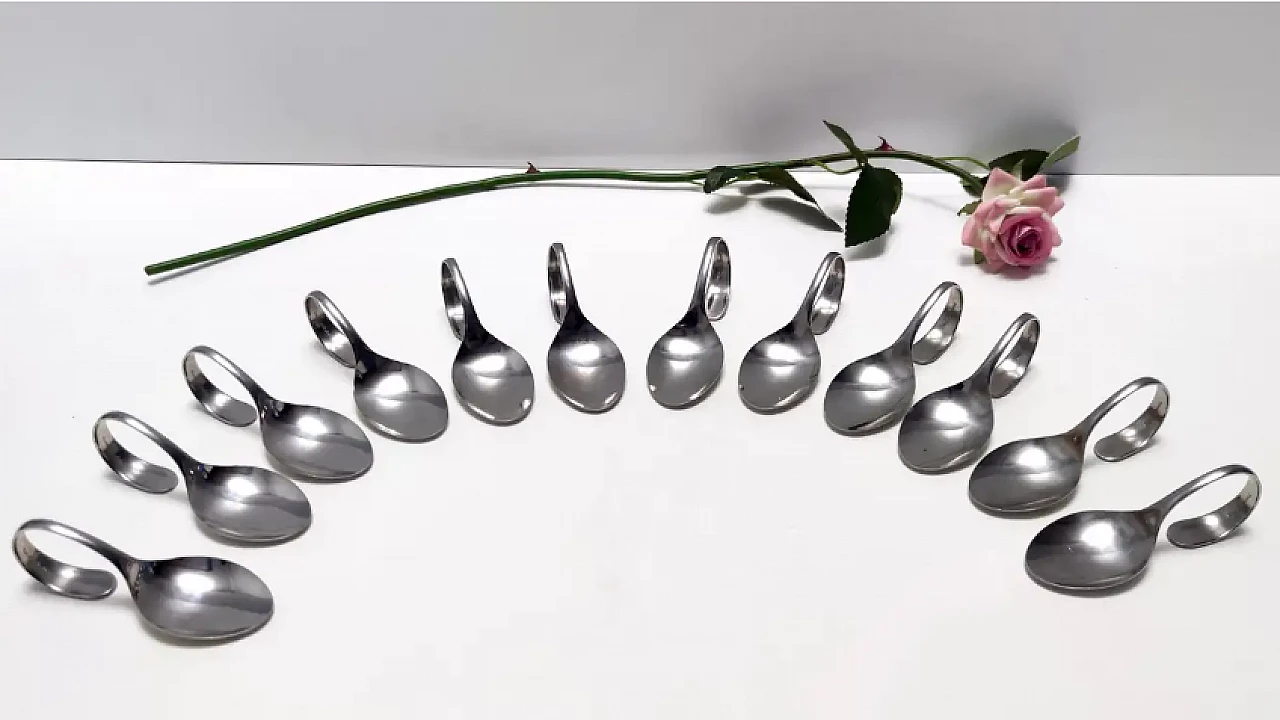 12 Steel Serving spoon by Pinti, Italy, 1980s 2