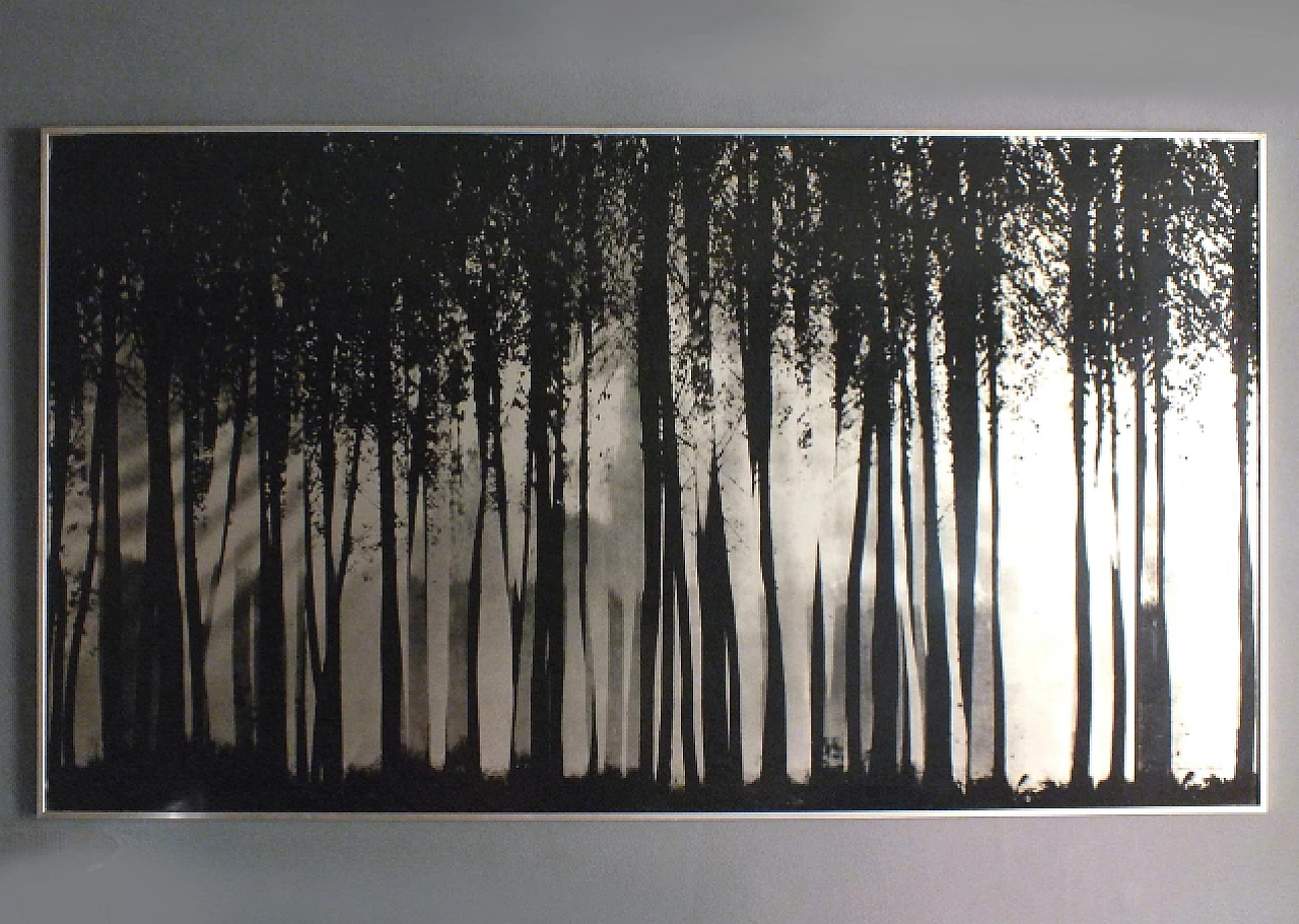 Franco Fontana, Wild, aluminum panel, Almar Milano, 1976 2