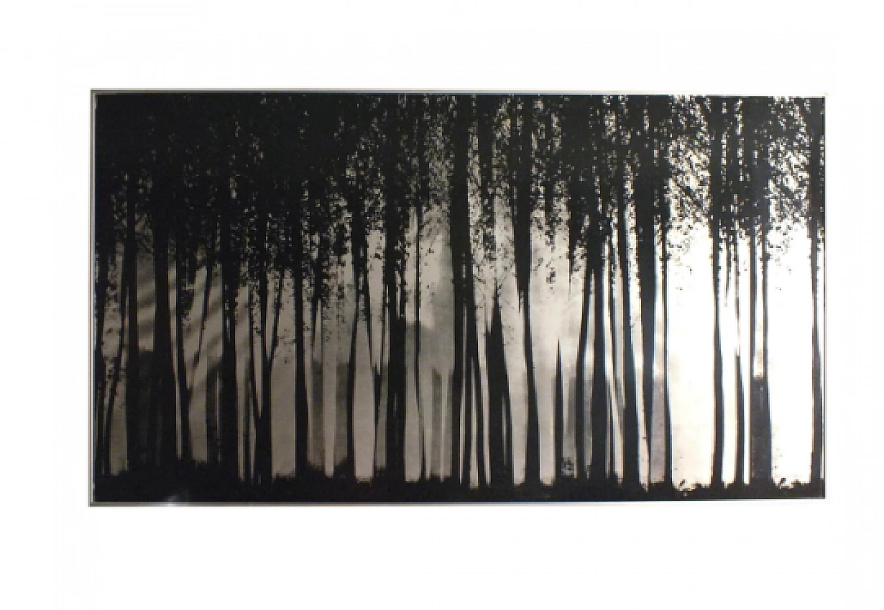 Franco Fontana, Wild, aluminum panel, Almar Milano, 1976 10