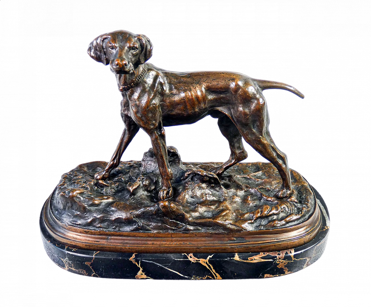 Bronze sculpture of Bracco dog on a marble base 10