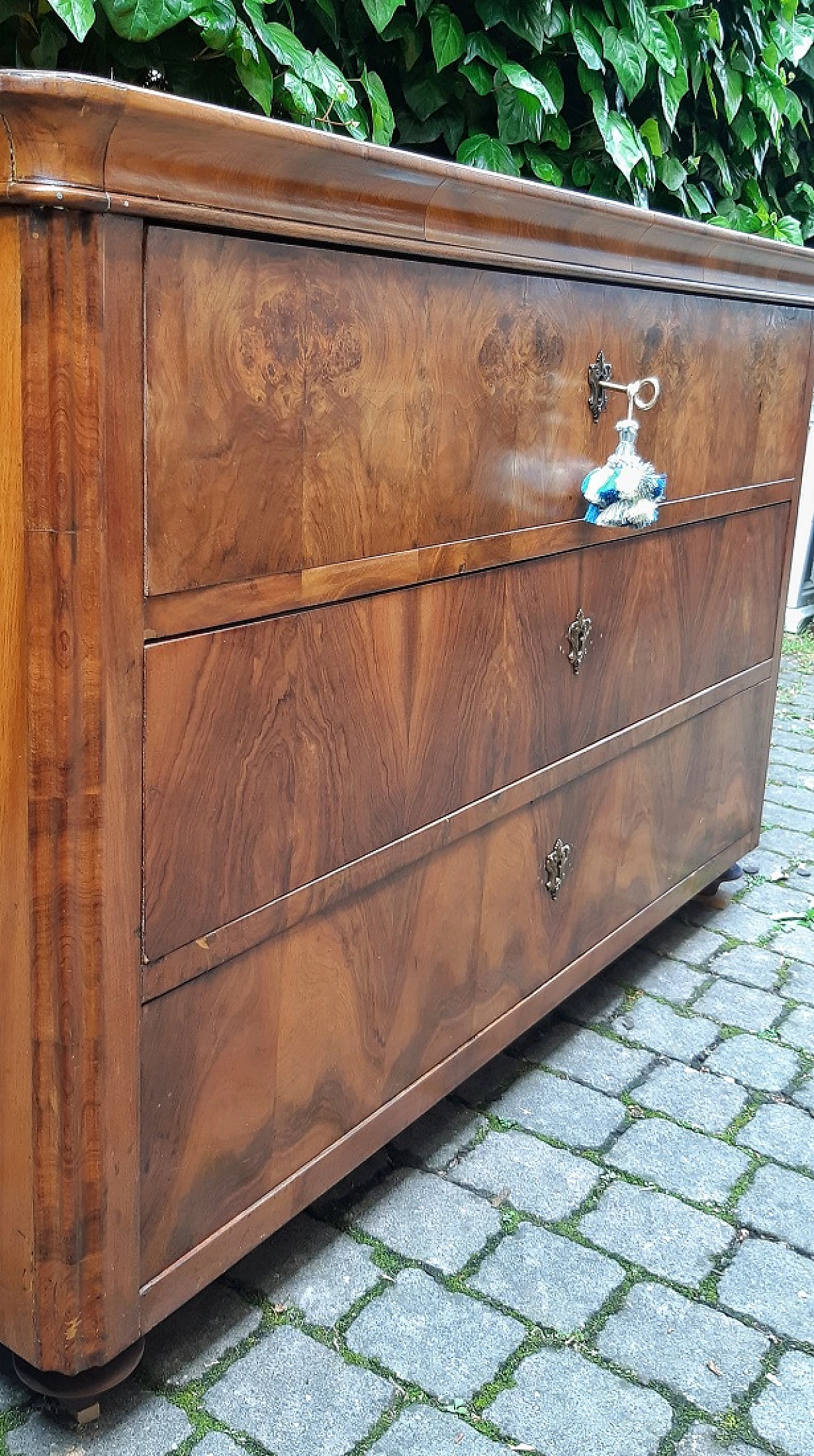 Walnut and briarwood panelled dresser, first half of the 19th century 5