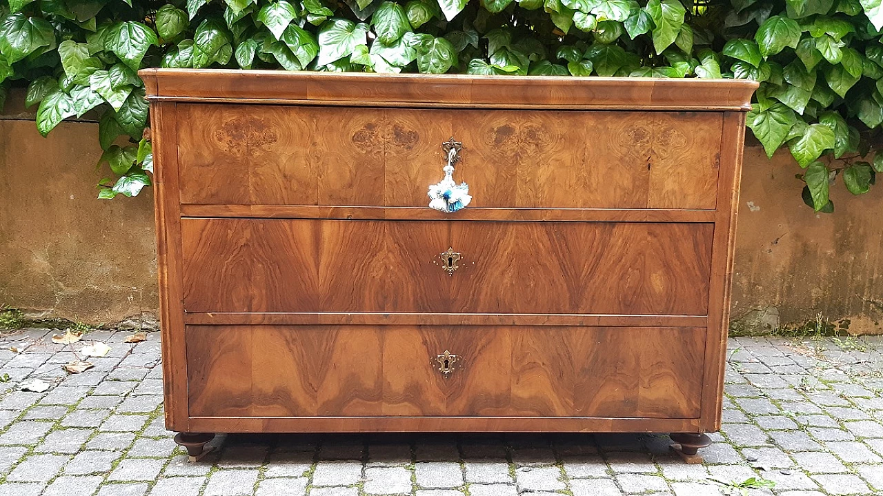 Walnut and briarwood panelled dresser, first half of the 19th century 7