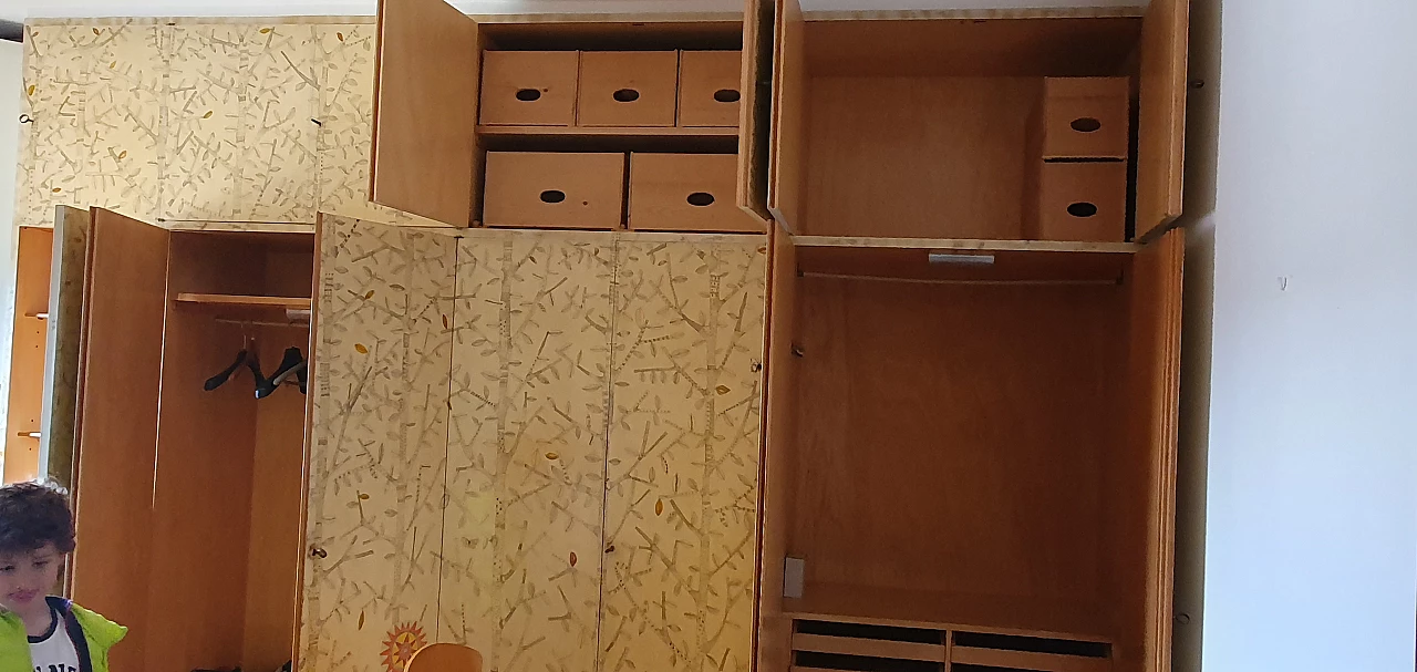 Wooden wardrobe hand-painted by Gianmaria Potenza, 1958 8